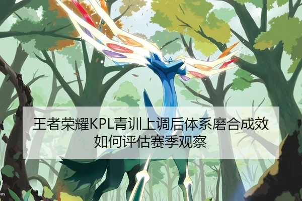 王者荣耀KPL青训上调后体系磨合成效如何评估赛季观察